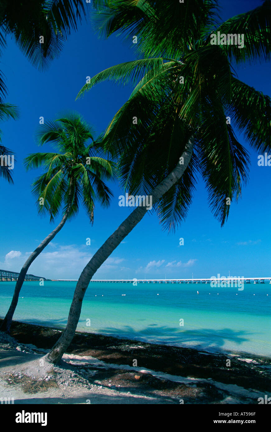 Bahia Honda State Park Florida Keys USA Foto Stock