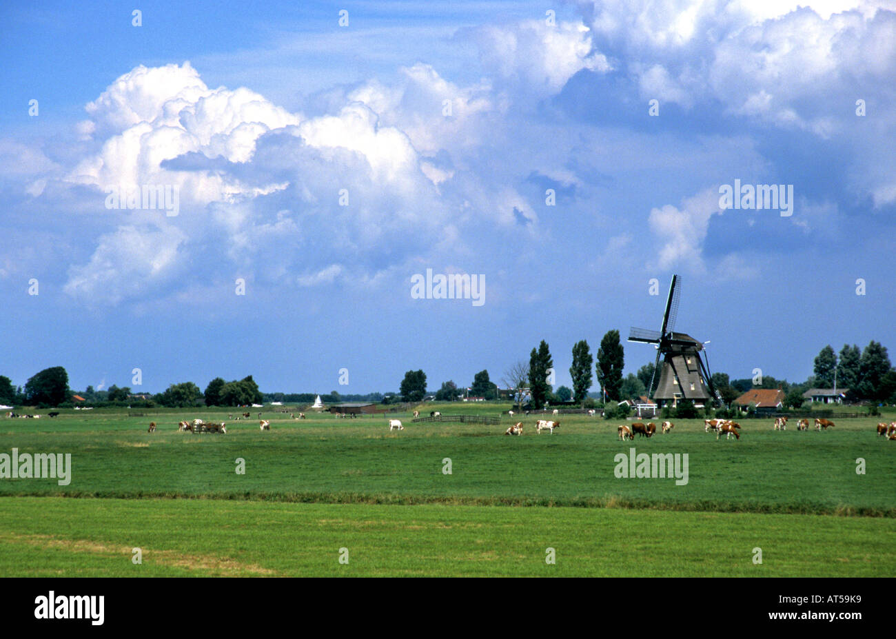 Nord e Sud Olanda Foto Stock