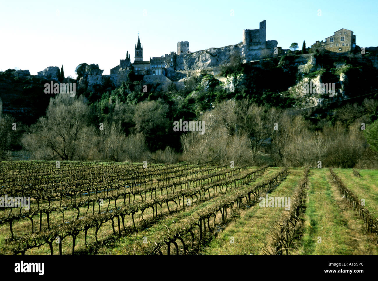 Ardeche francia - francese di uve da vino Viticoltura Foto Stock