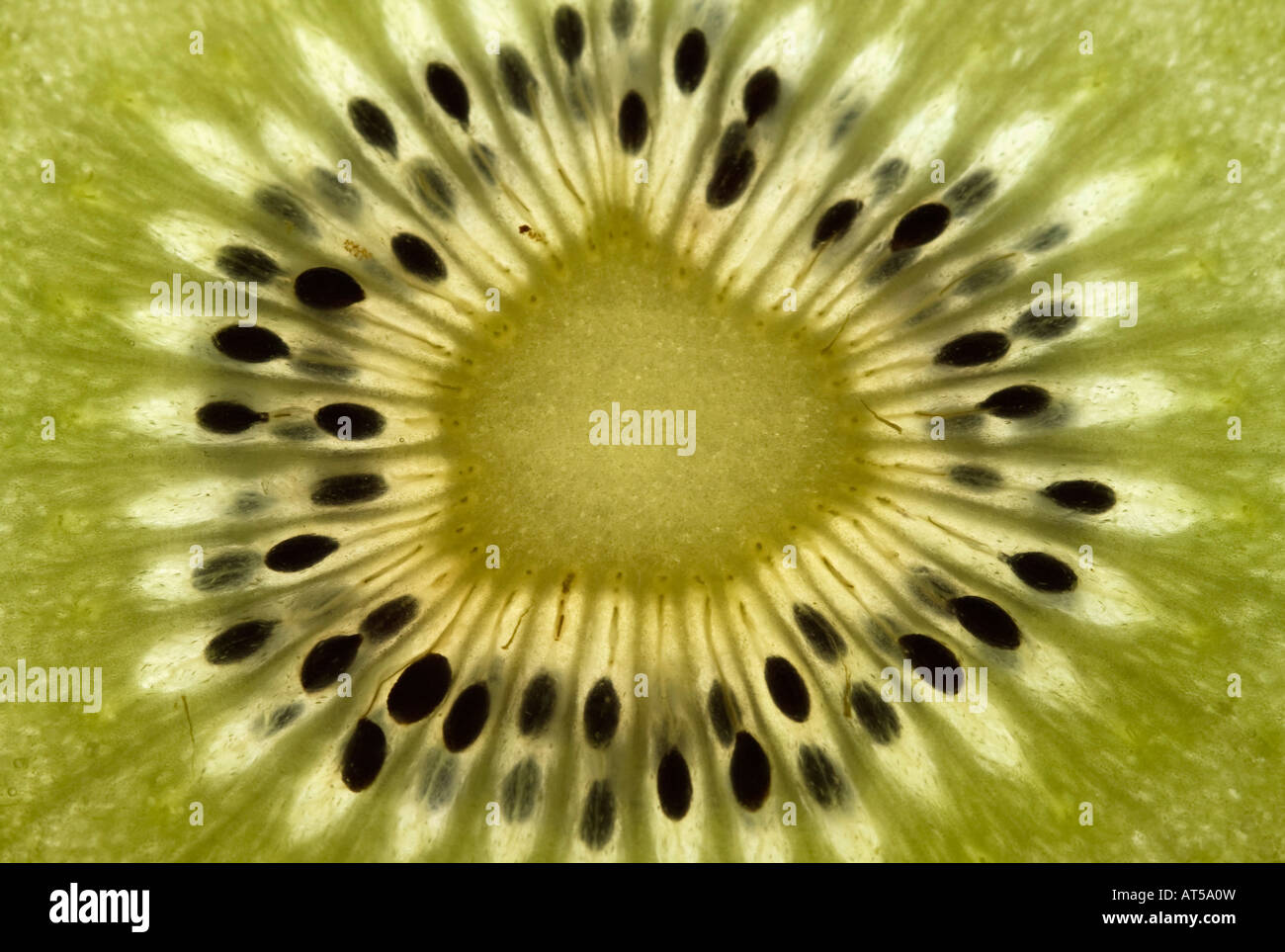 Foto astratta di una fetta di elementi kiwi verdi pattern frutta nessuno orizzontale vista dall'alto foto ad alta risoluzione Foto Stock