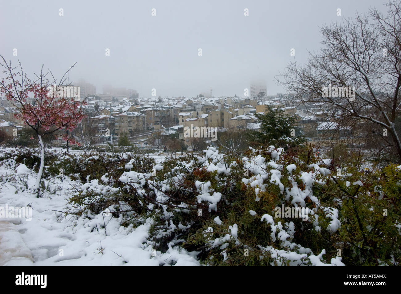 Snowbound a Gerusalemme - inverno tetti nella Città eterna della luce Foto Stock