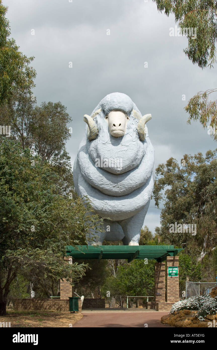 Ram gigantesca statua a Wagin Wheatbelt meridionale regione Western Australia, Ottobre Foto Stock