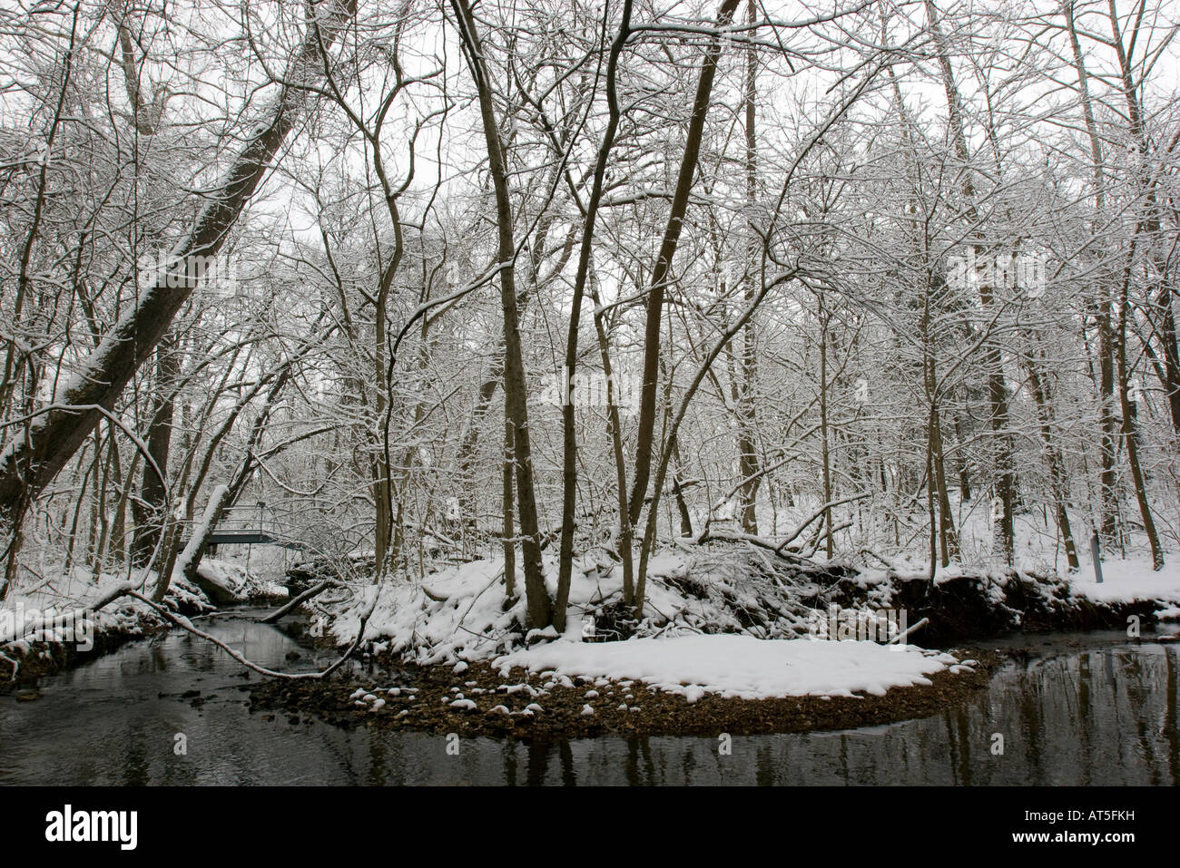 Tanyard Creek Walking Trail in Bella Vista, arca. A seguito di una tempesta di neve a gennaio 31, 2008. Foto Stock