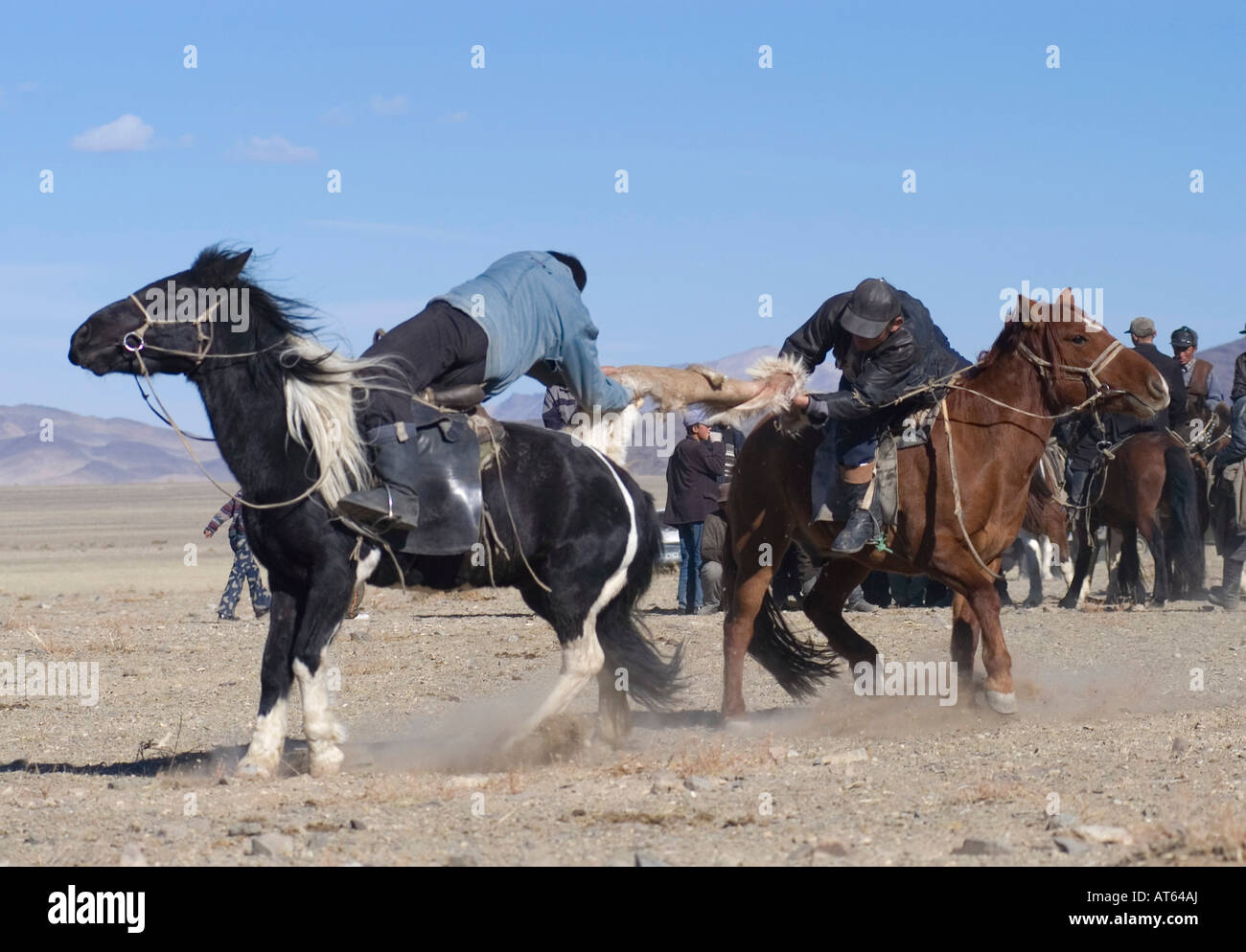 Il kazako due piloti in lotta per il controllo di una capra morto in un gioco di Kokpar o Bushkashi a l'Aquila annuale Festival di caccia Foto Stock