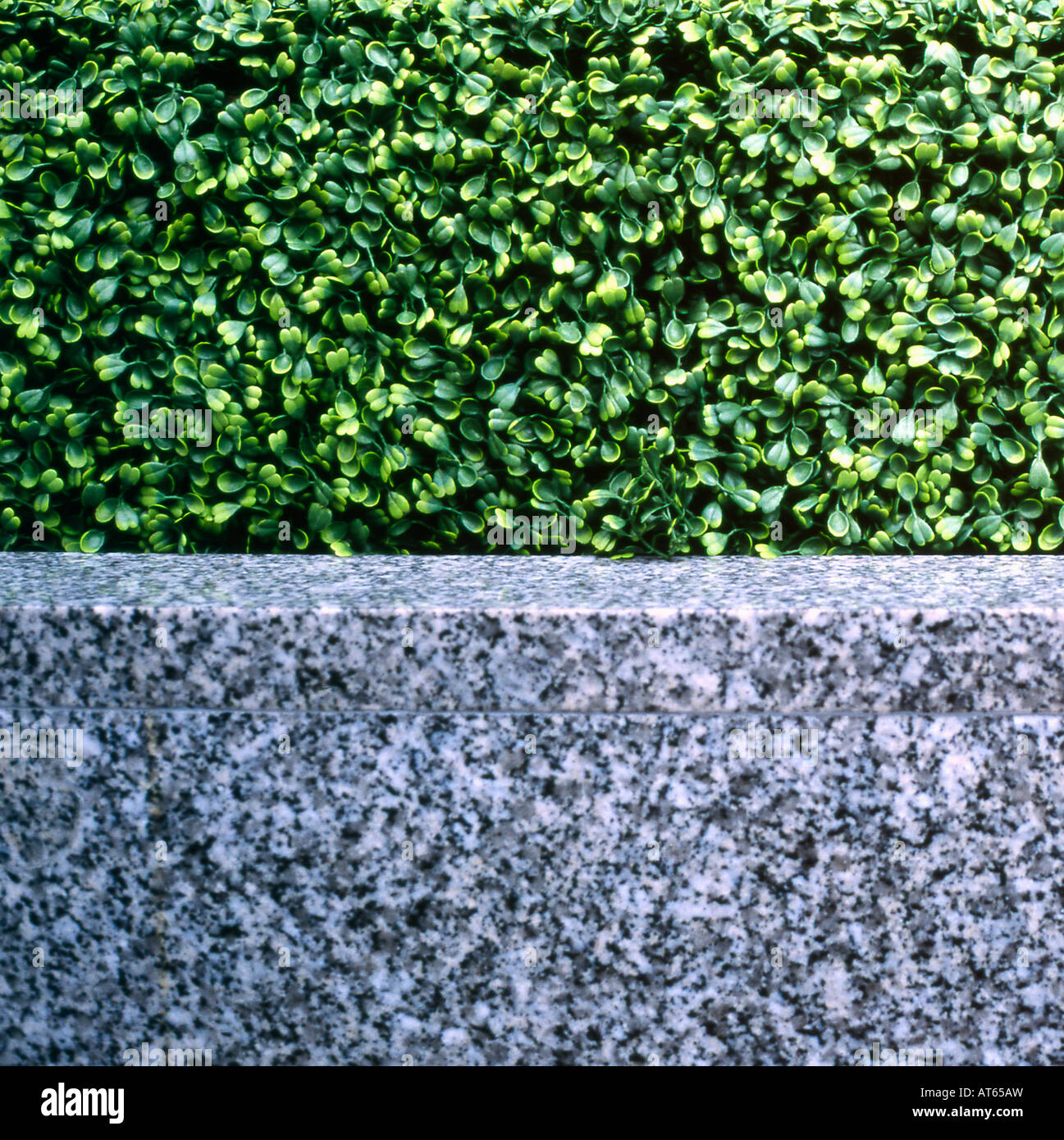 Fake ligustro verde siepe e grigio superfici di marmo nel quartiere finanziario della City di Londra, Inghilterra 2007 Foto Stock