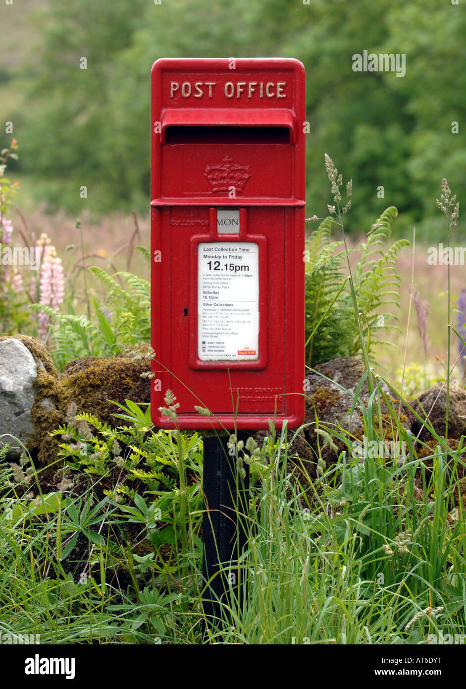 RED LETTER BOX vicino al Loch Tay Scozia Scotland Foto Stock