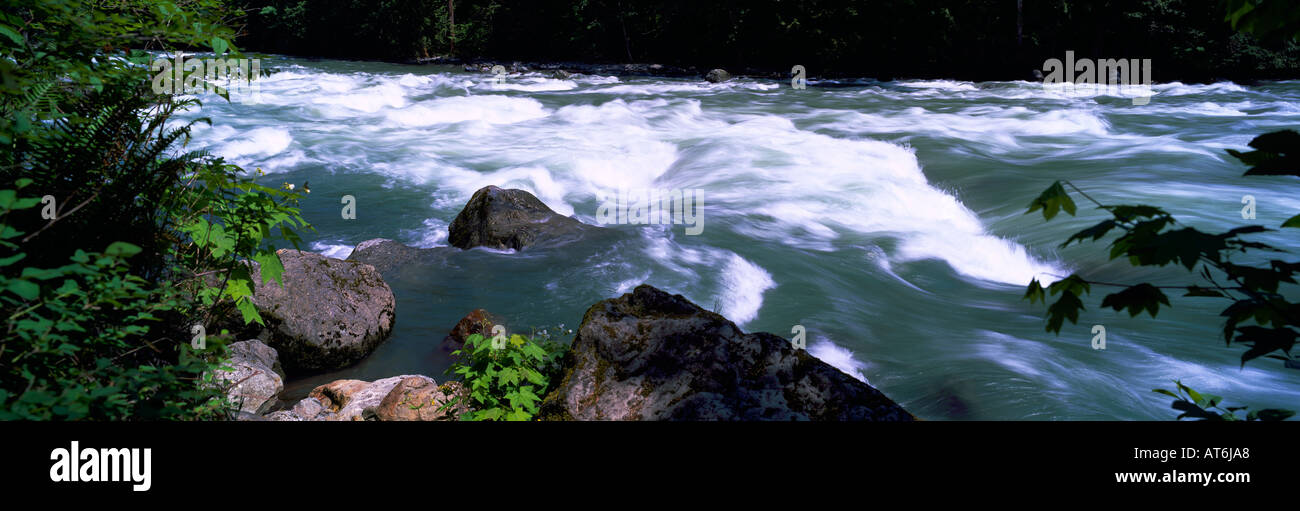 Runoff della molla nel fiume Chiliwack in Fraser Valley della Columbia Britannica sudoccidentale Canada Foto Stock