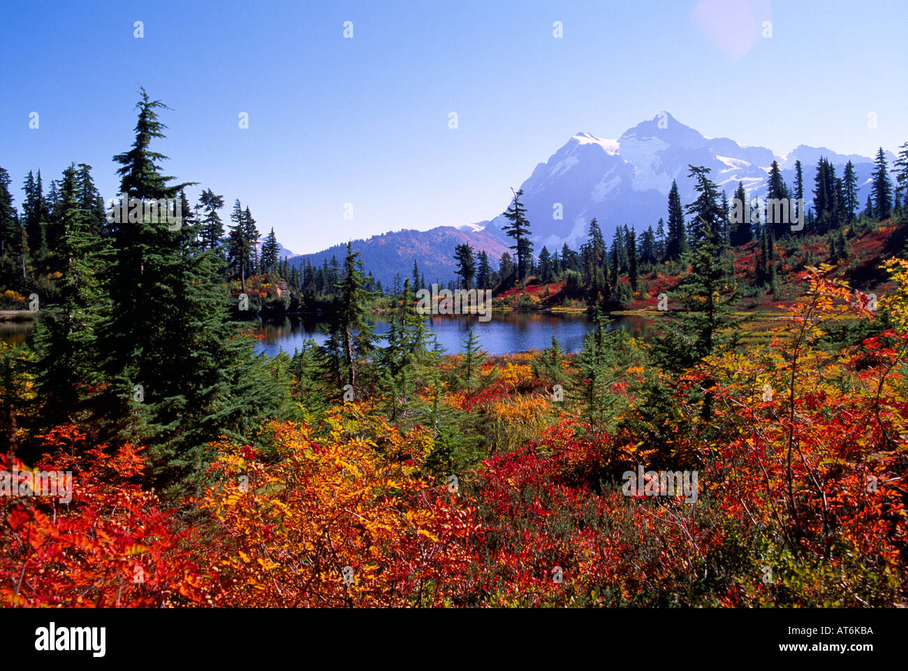 Mount Baker - Snoqualmie Foresta Nazionale, Washington, Stati Uniti d'America - Mt Shuksan foto sopra il lago e 'Heather Prati' - Autunno Autunno Foto Stock
