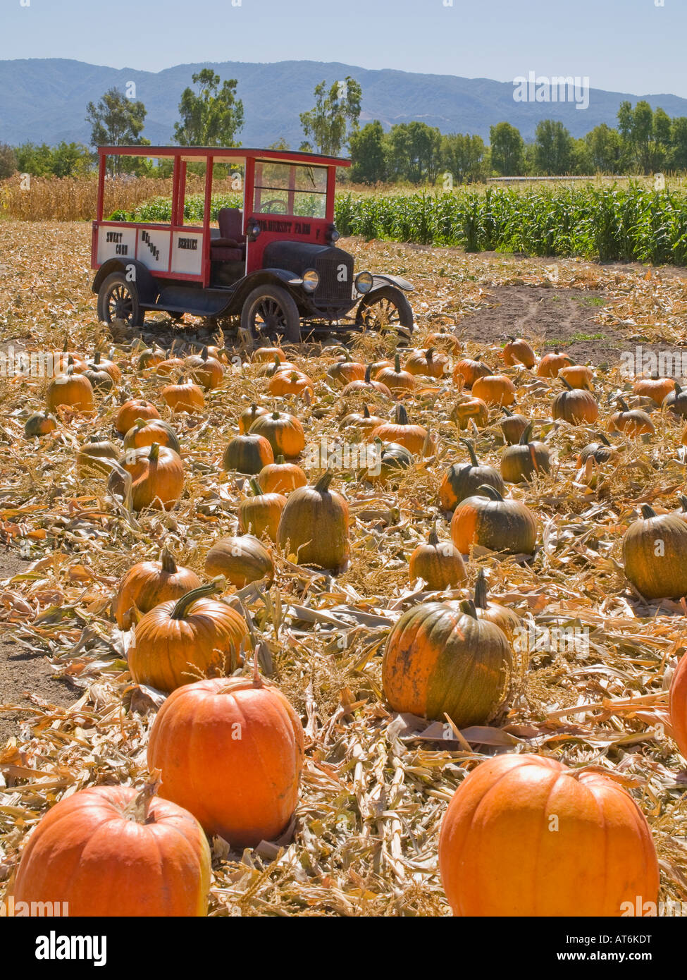 Summerset Agriturismo vicino a Los Olivos Santa Ynez Valley in California negli Stati Uniti d'America Nord America Foto Stock