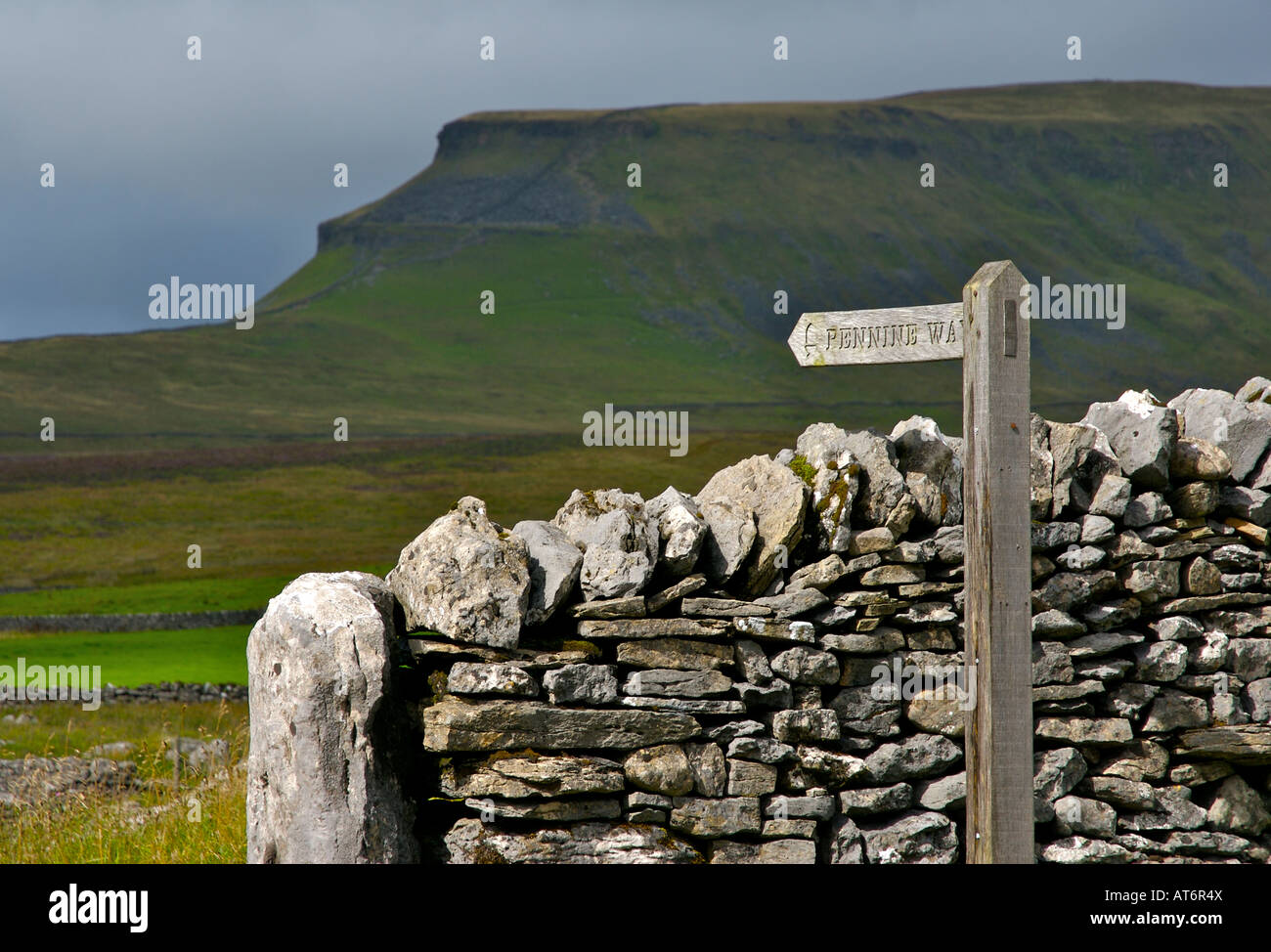 "Pennine Way' segno e il profilo distintivo di Pen-y-Gent, una delle Tre Cime di Lavaredo, Yorkshire Dales National Park, Regno Unito Foto Stock