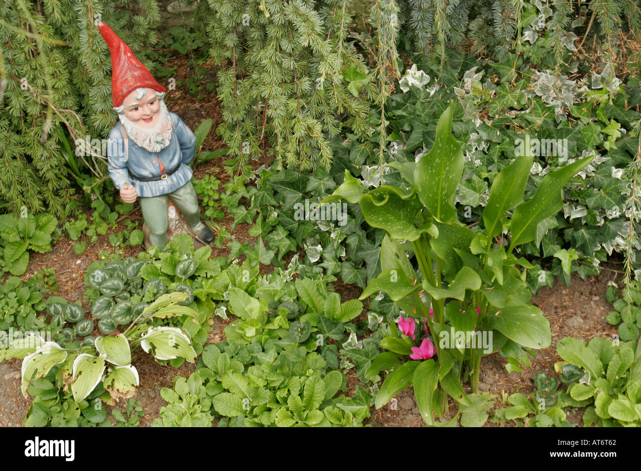 Nana in giardino Foto Stock