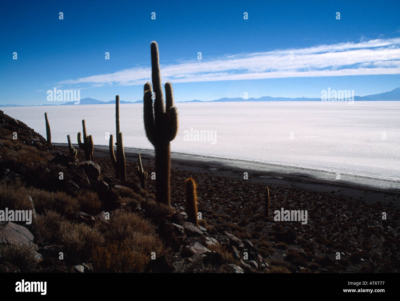 PANORAMA DEL DESERTO Foto Stock