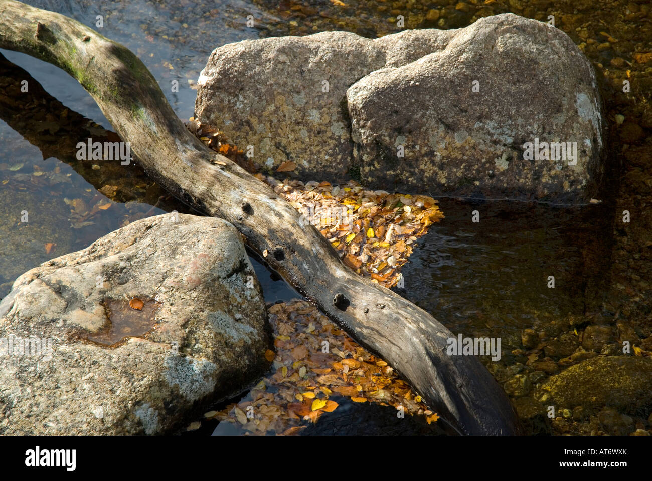 Badgers Holt sul fiume Dart Parco Nazionale di Dartmoor Devon England Foto Stock