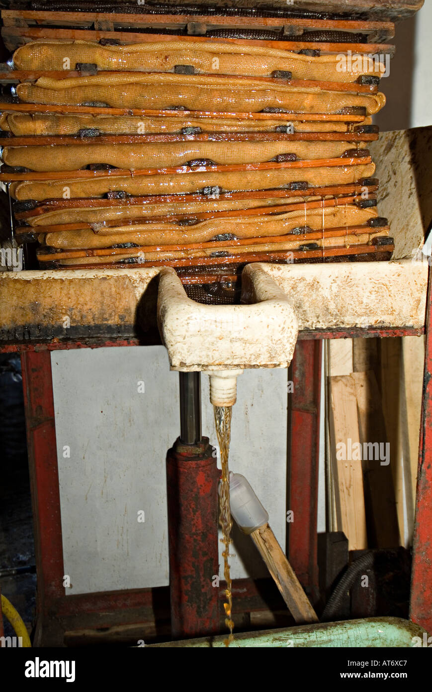 Premendo le mele per fare il sidro di mele e di succhi di mela Foto Stock