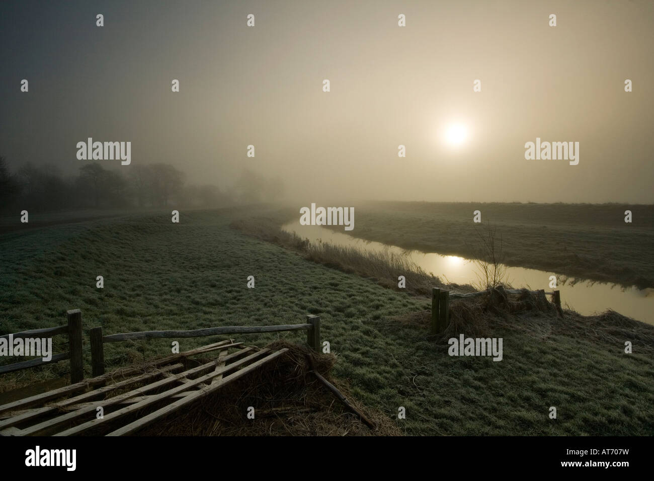 Fiume sotto misty sunrise con ripartiti sbarrata dal cancello posti e con alberi in lontananza Foto Stock