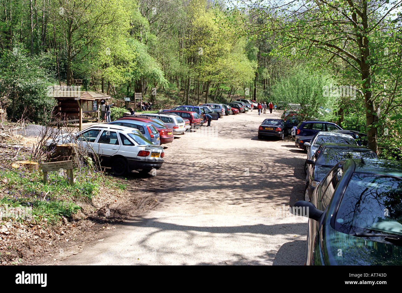 Parcheggio auto a Thorncombe boschi nel Dorset Regno Unito Regno Unito Foto Stock