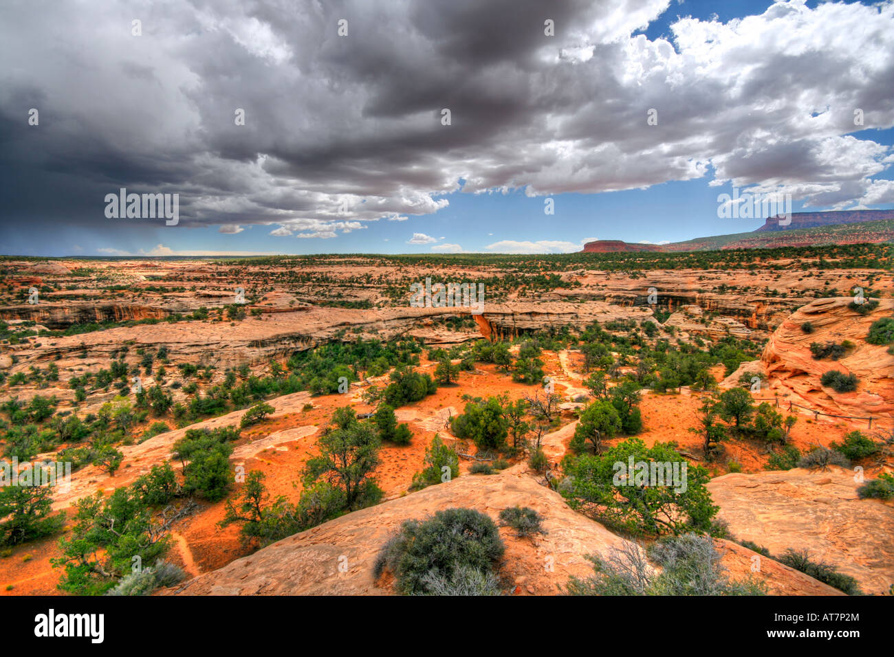 Ponti naturali monumento nazionale Foto Stock