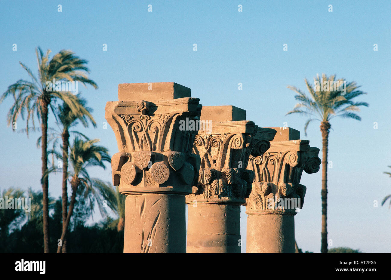 Capitale scolpito sulle colonne del tempio di Denderah vicino alla riva del fiume Nilo in Egitto Foto Stock