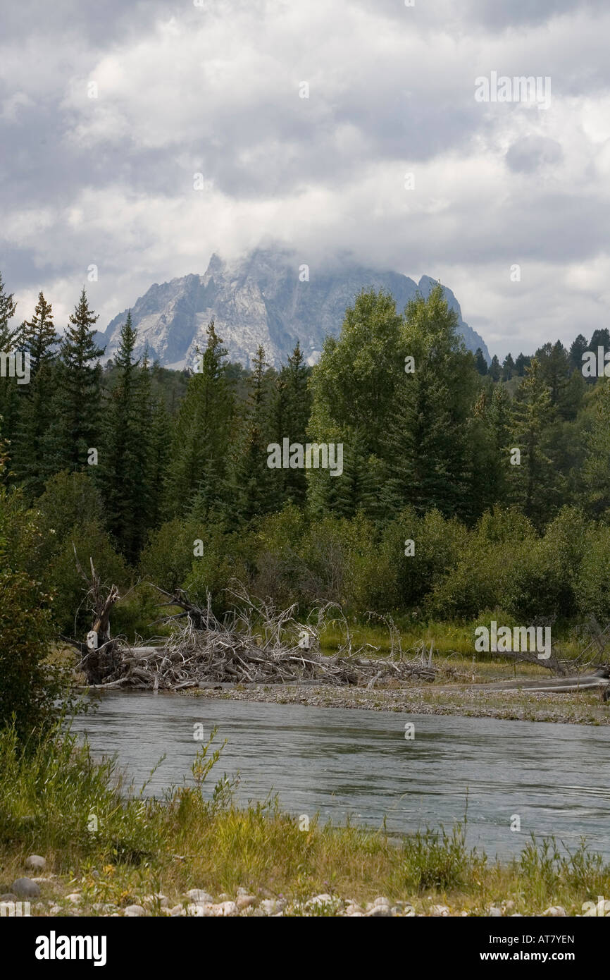 Snake River di fronte Teton Mountains e una foresta evergree, Grand Teton National Park Wyoming, STATI UNITI D'AMERICA Foto Stock
