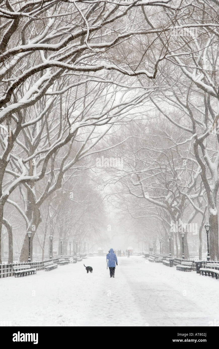 Donna che cammina il suo cane durante una tempesta di neve presso il Centro Commerciale di Central Park di New York Foto Stock
