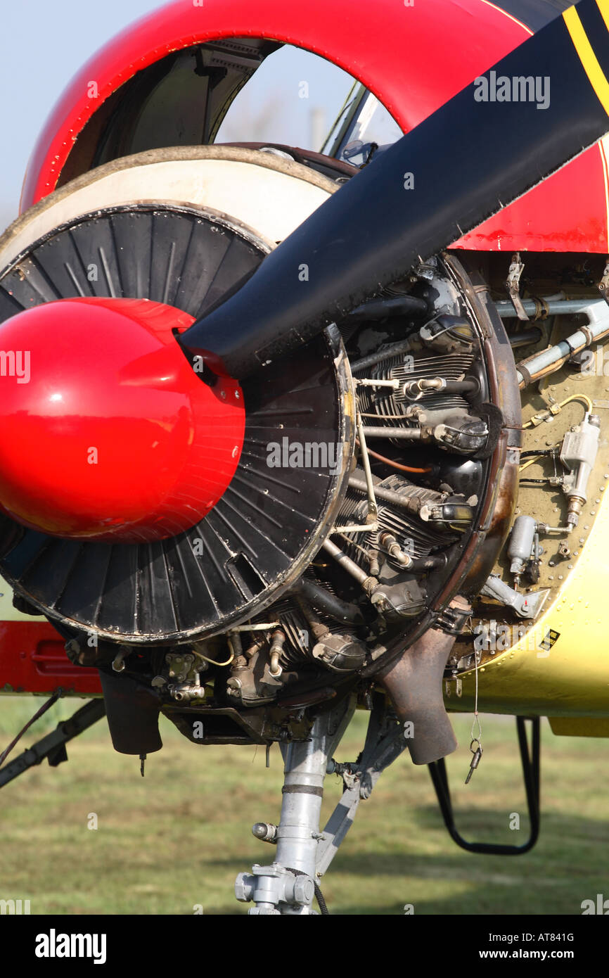 Di costruzione russa Yak 18 aeromobili pistone motore radiale con manutenzione cofano sollevato aperto Foto Stock