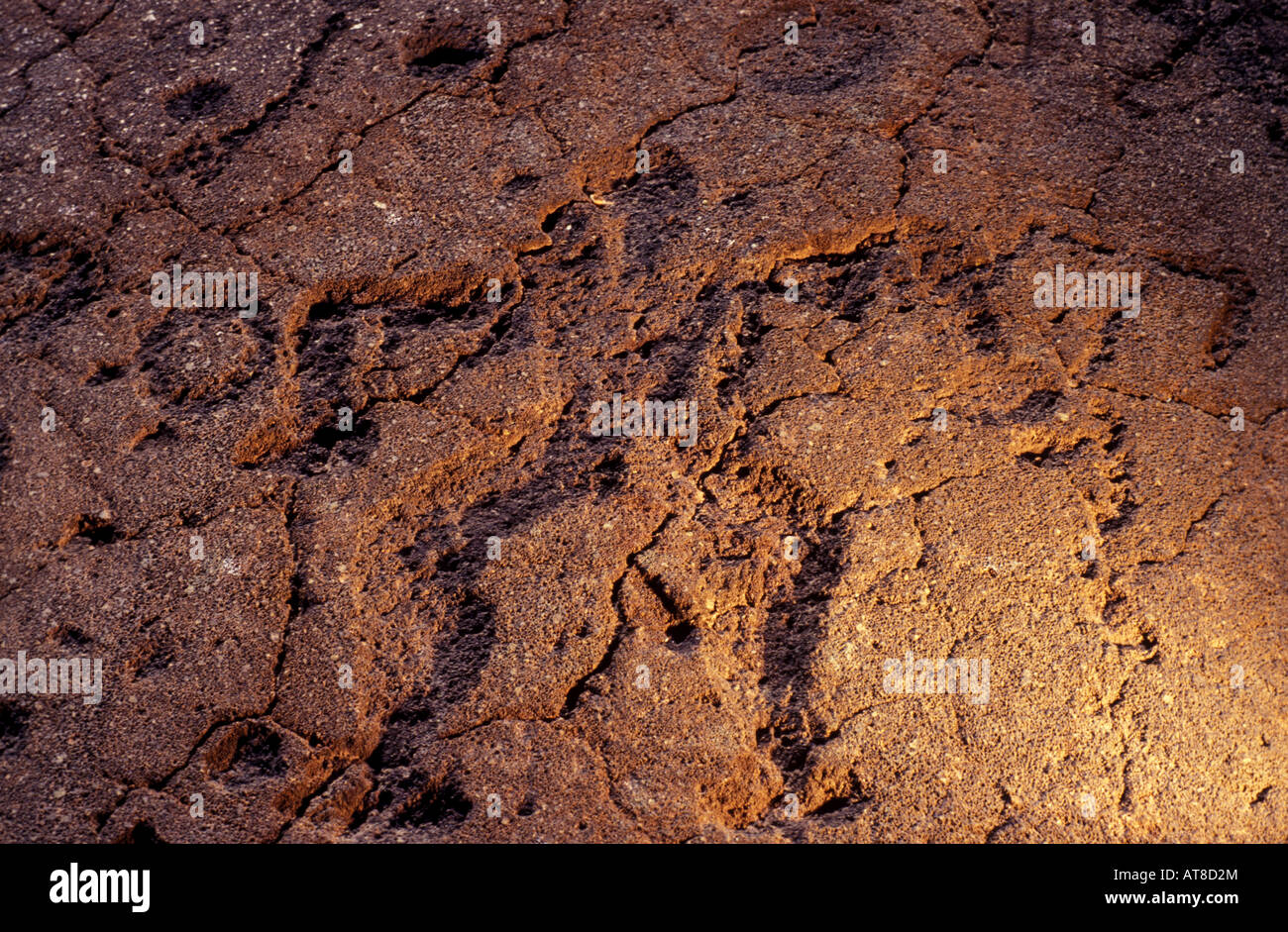 Petroglyph particolare un uomo, Waikoloa Beach Resort. Foto Stock