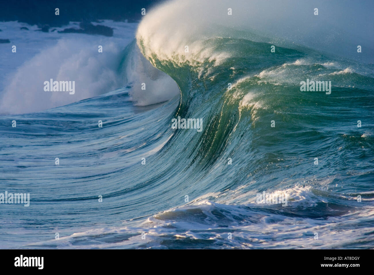 Bella onda al shore break di Waimea Bay sulla costa nord di Oahu, Hawaii. Foto Stock