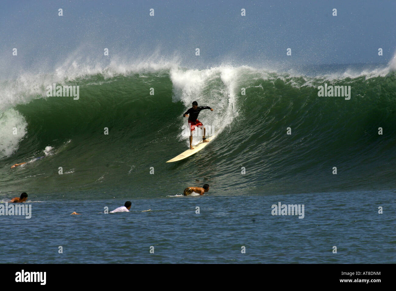 Surfer prende il largo su un onda al Ala Moana ciotola. I mesi estivi sono i migliori per il sud si gonfia in Hawaii. Foto Stock