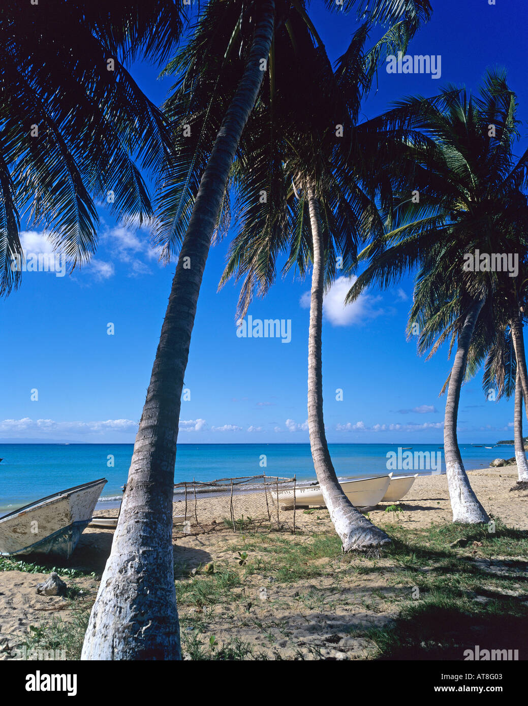 Barche di pescatori sulla spiaggia St-Louis con palme, isola Marie-Galante, Guadalupa, French West Indies Foto Stock