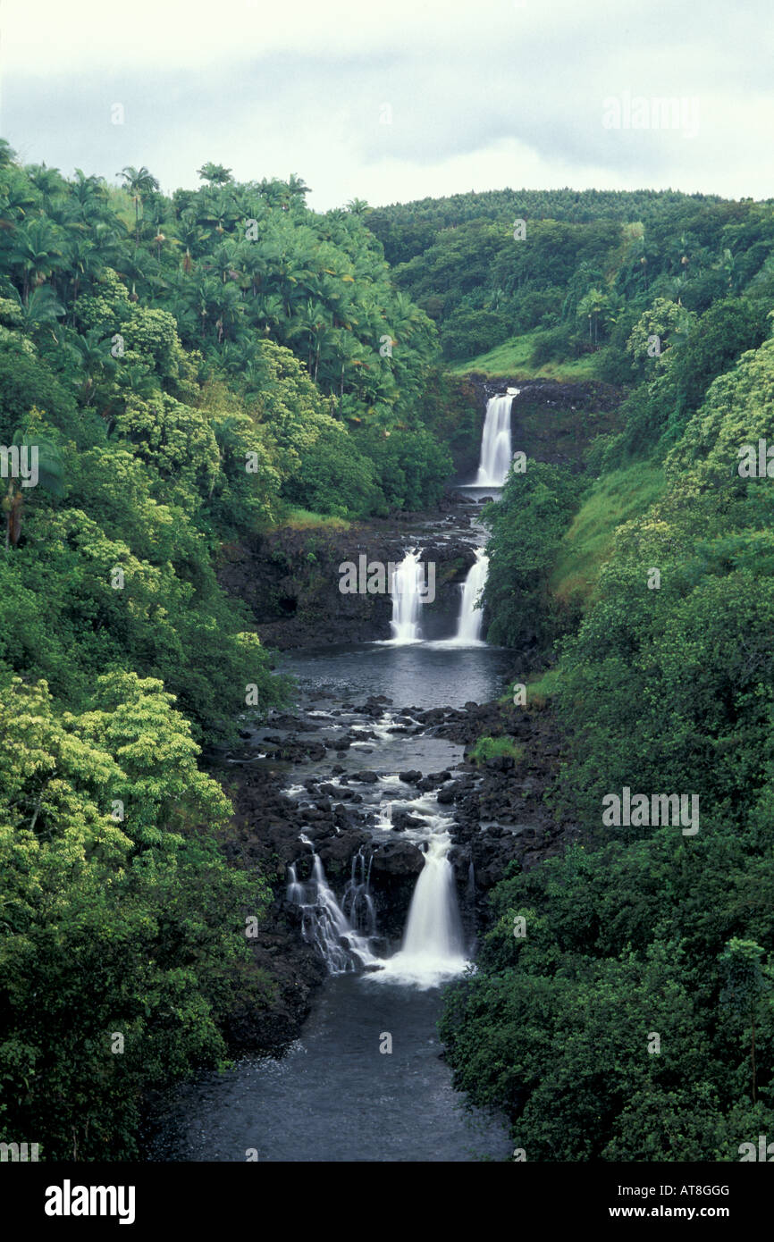 Umauma Falls, a nord di Hilo, mondo giardini botanici, Big Island Foto Stock