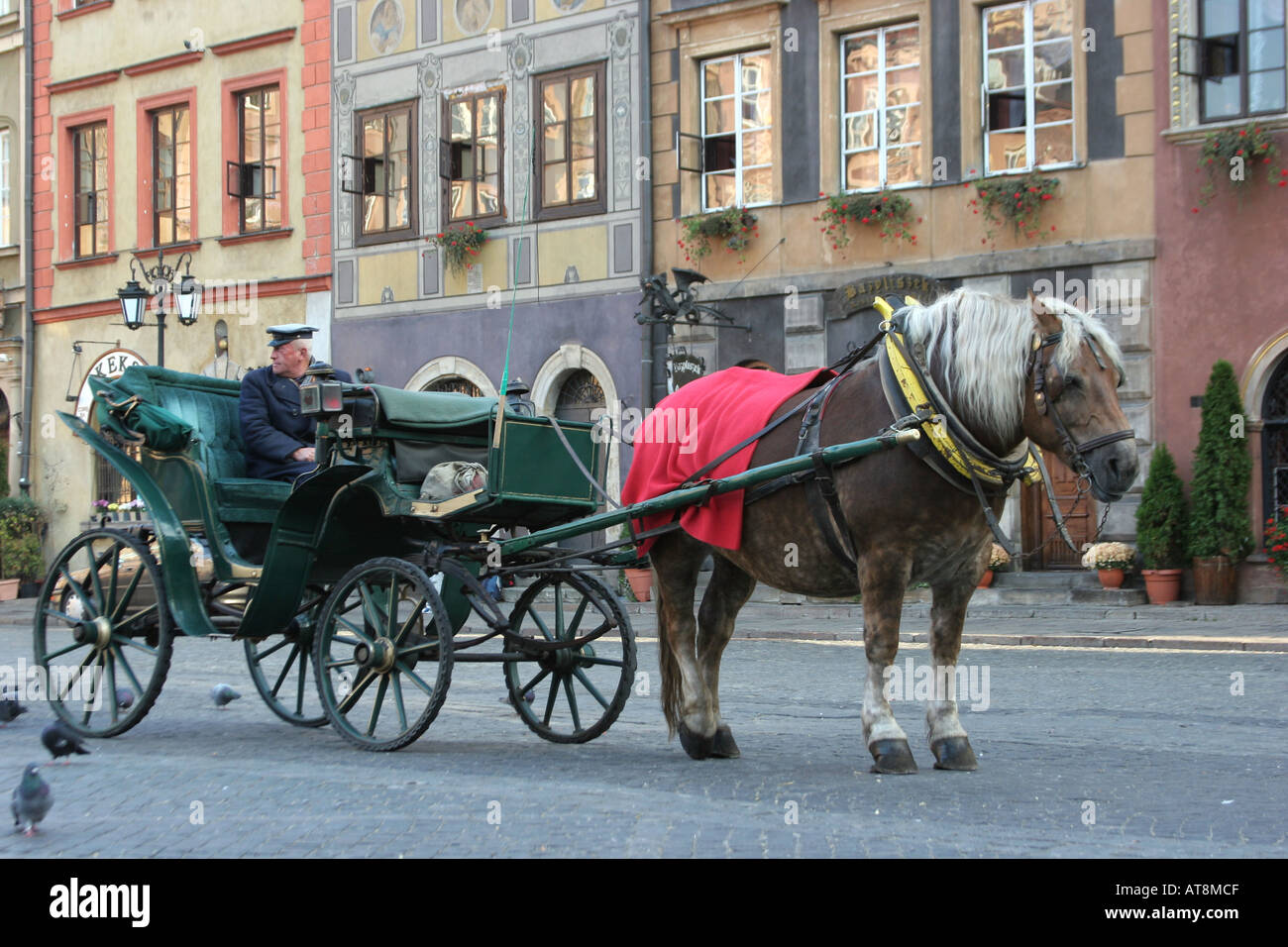 Cavallo e Carrozza a Varsavia piazza della città vecchia Foto Stock