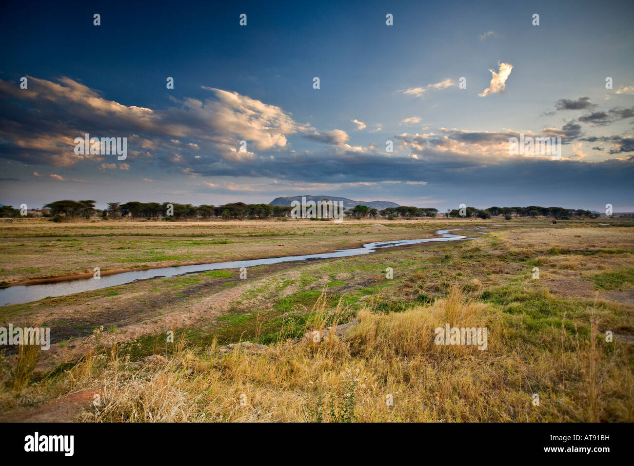 Asciugata Ruaha nel fiume Ruaha National Park, Tanzania Africa Foto Stock