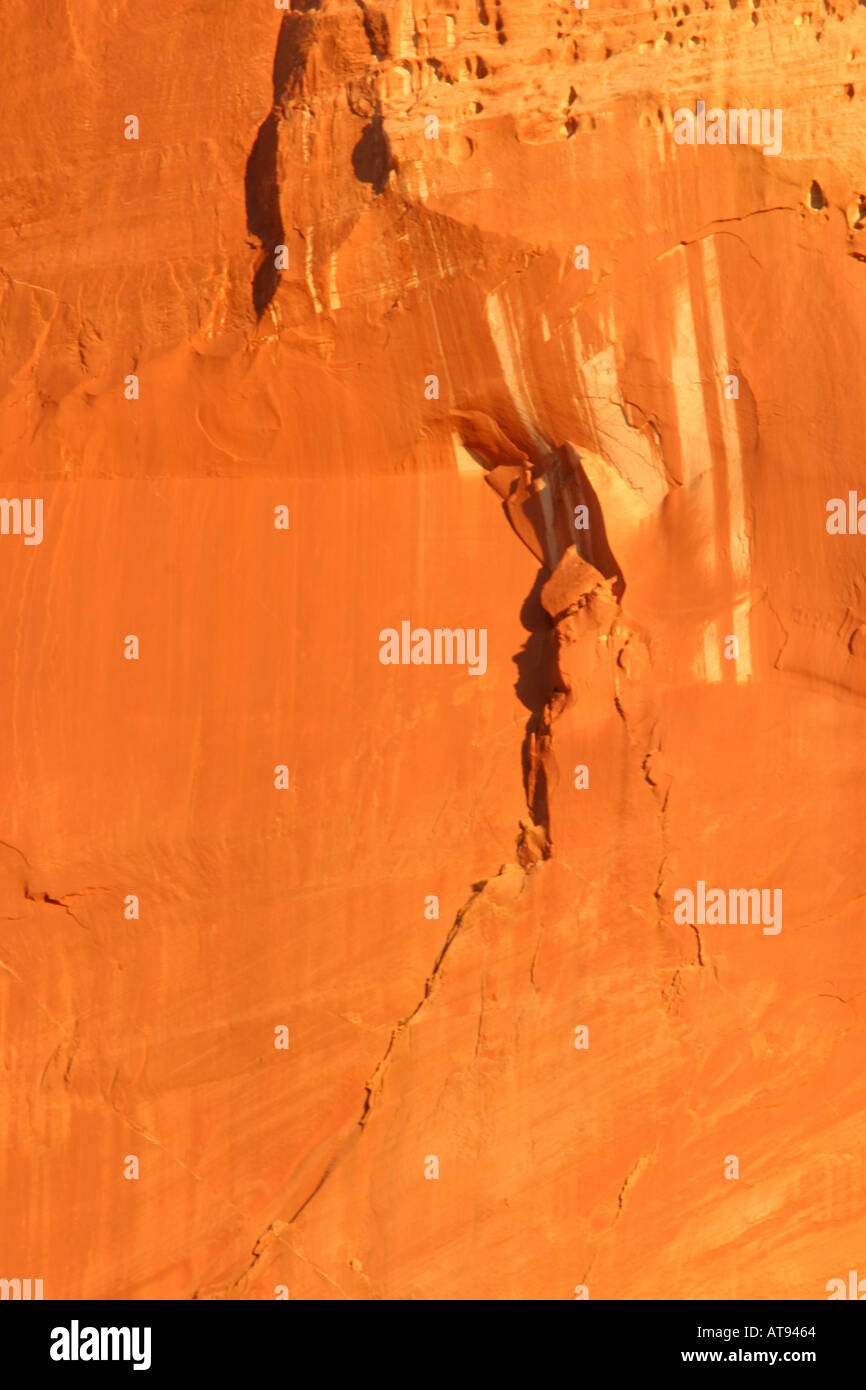 Orange la parete del Canyon Zion National Park Washington County UT Foto Stock