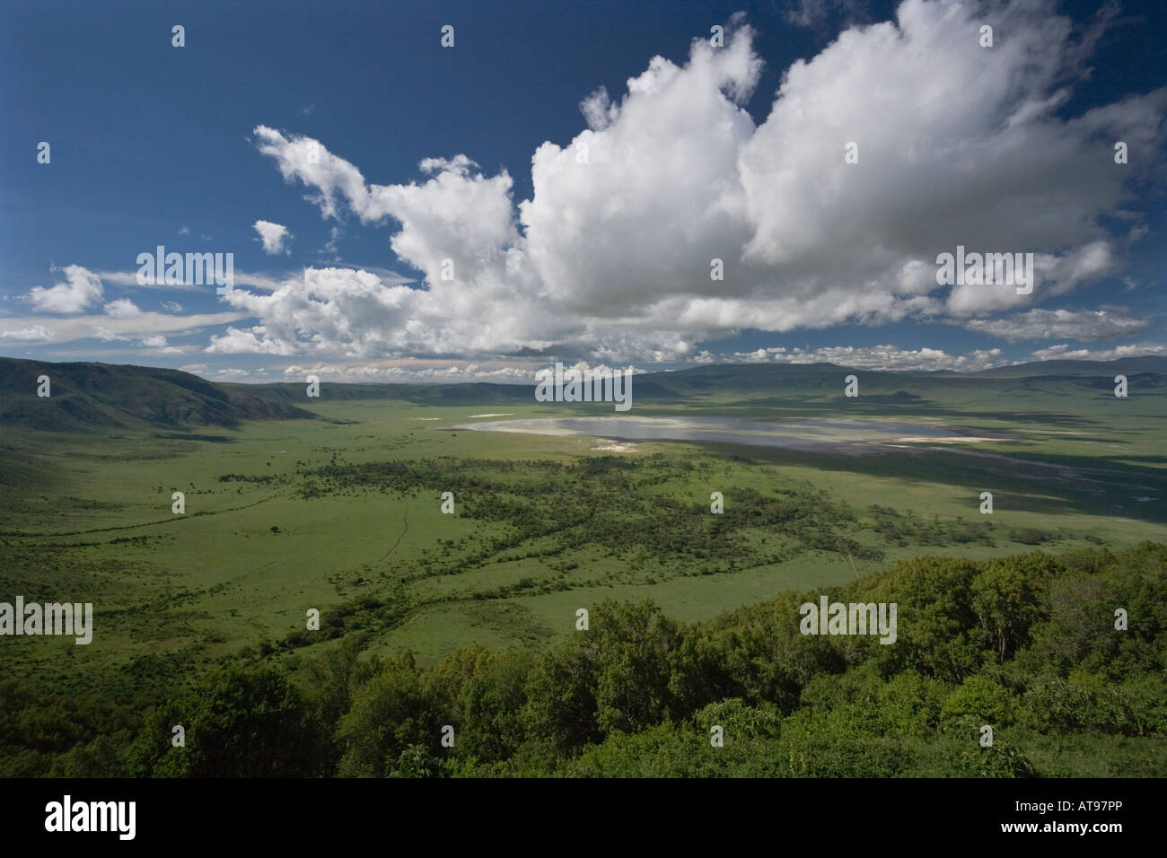 Ampio angolo di vista della verdeggiante del cratere di Ngorongoro negli altipiani della Tanzania Foto Stock