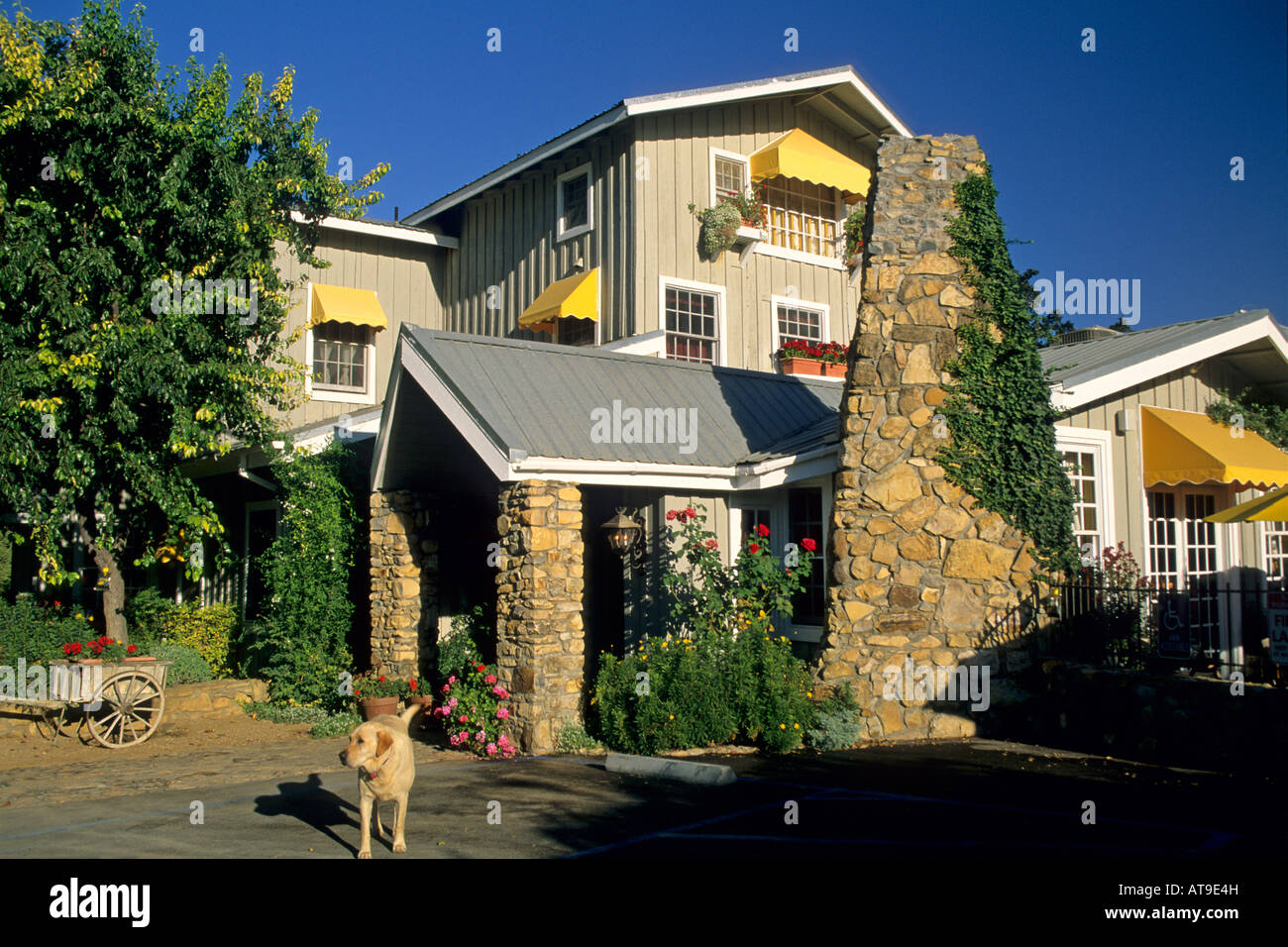 Justin Vigneti Cantina Chimney Rock Road Paso Robles San Luis Obispo County in California Foto Stock