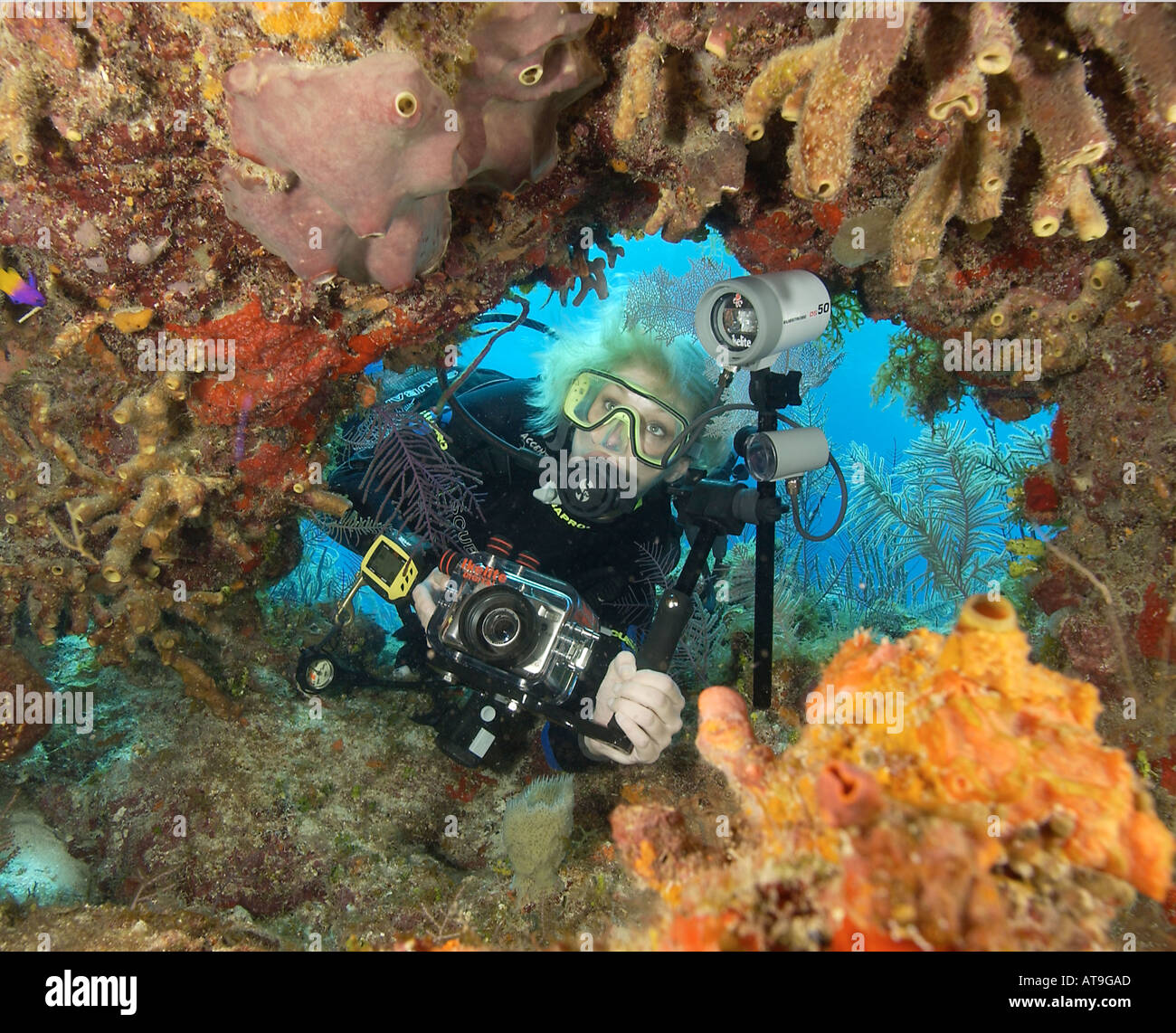 Donna subacqueo con fotocamera digitale nella piccola caverna Isole Bahamas Foto Stock