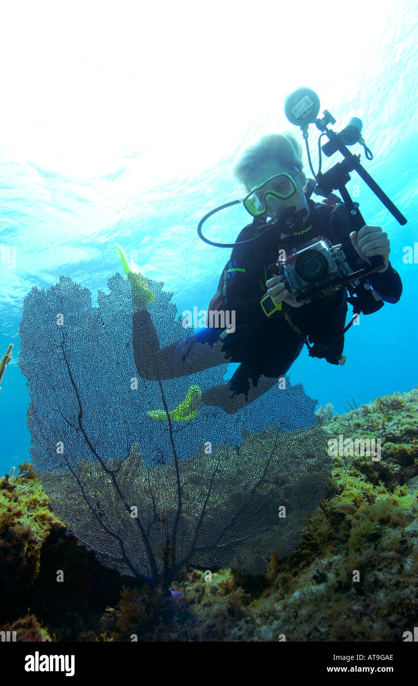 Donna subacqueo con fotocamera digitale a cuneo divesite Isole Bahamas Foto Stock