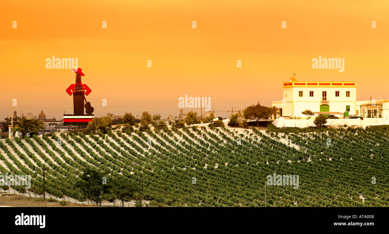 Dolore andalusia Costa de la Luz Jerez de la Frontera Sherry pubblicità da Tio Pepe Gonzales Byass sherry campi vino finca Foto Stock