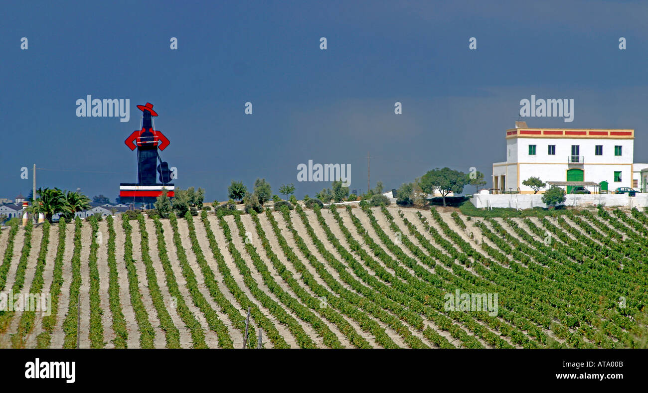 Spagna andaulusia Jerez de la Frontera Tio Pepe Sherry campi del vino Foto Stock