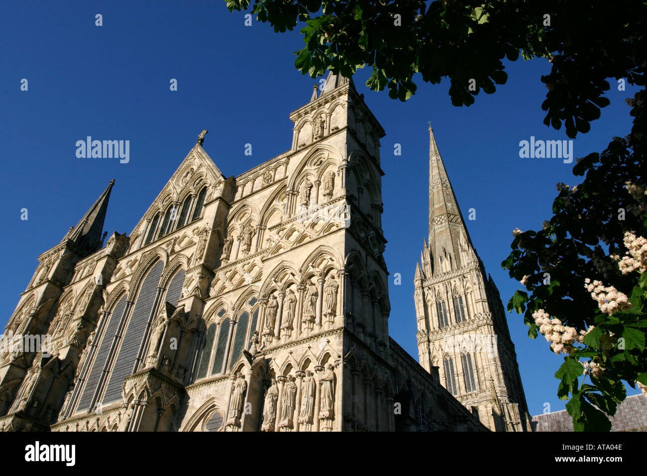 La Cattedrale di Salisbury Salisbury Inghilterra Foto Stock