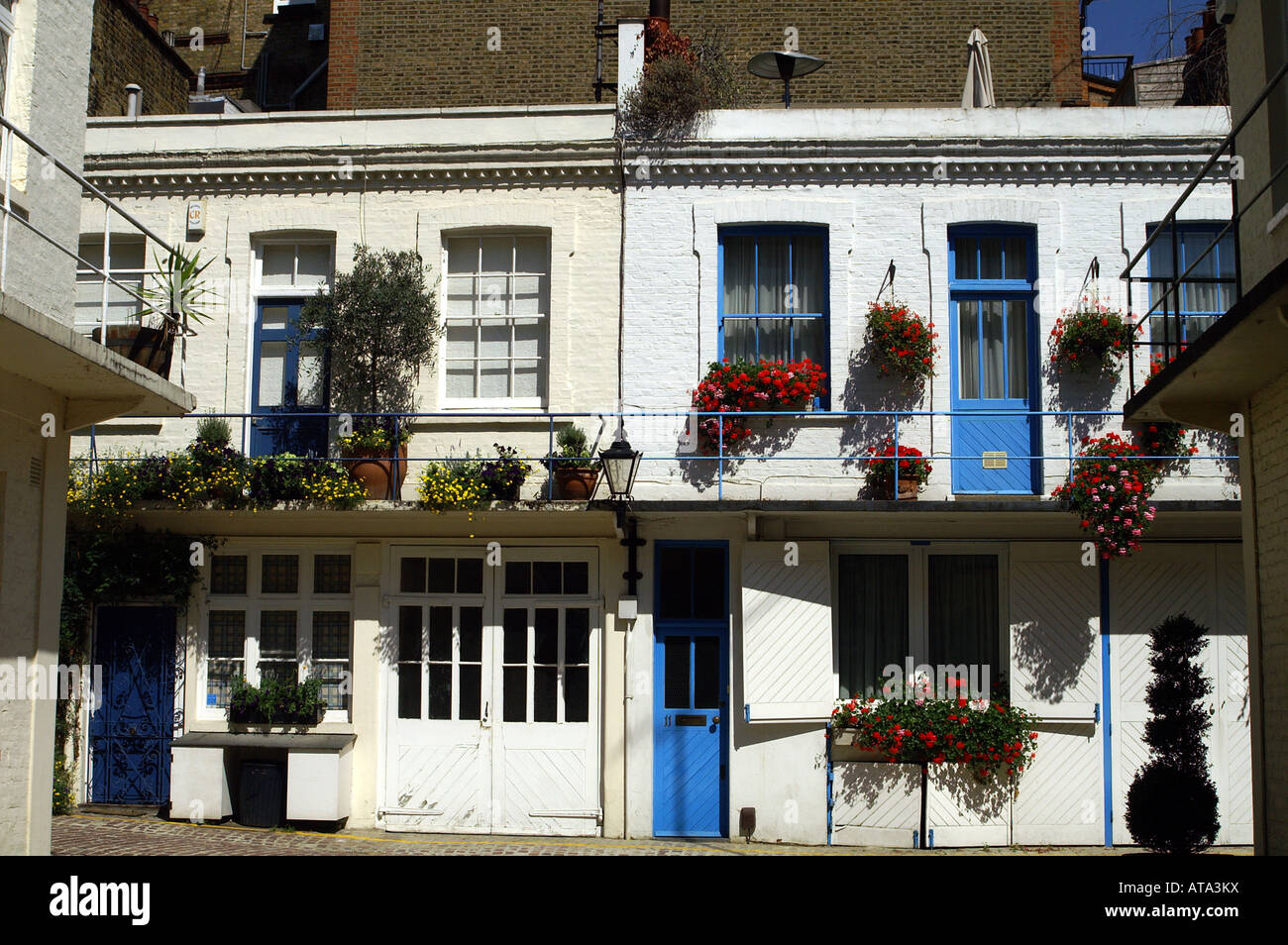 Piuttosto Londra mews case. Due piani di colore bianco mews case blu con porte e finestre colorate di scatole. Una giornata di sole a Londra Foto Stock