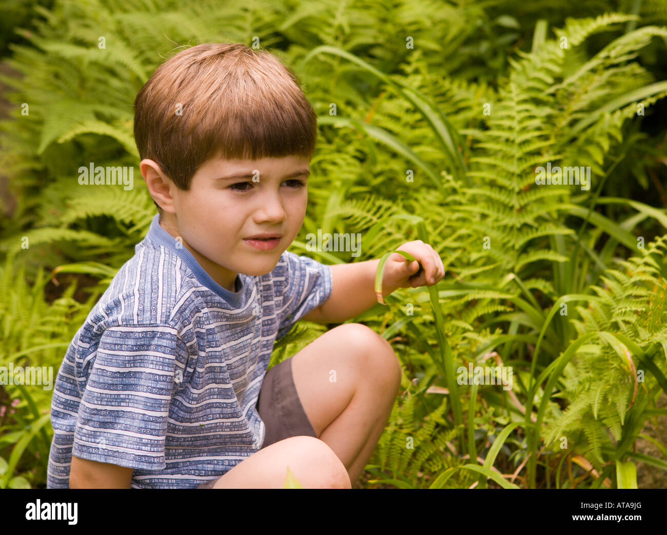 NEW YORK STATI UNITI D'AMERICA ragazzo autistico, età 6, in giardino. Signor Foto Stock