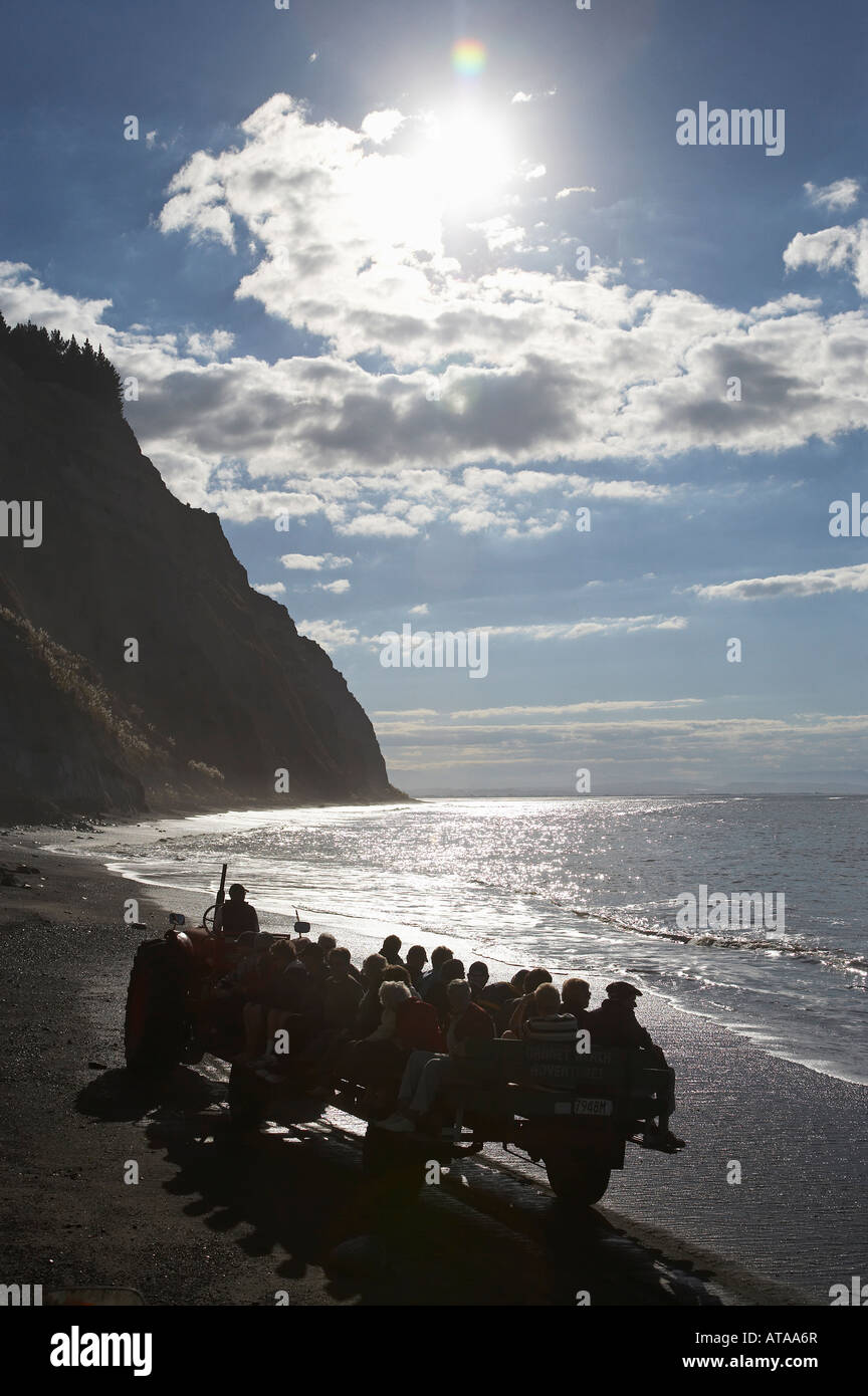 Gannett Beach avventure trattore escursione a Cape rapitori Gannett Colony Hawkes Bay Isola del nord della Nuova Zelanda Foto Stock
