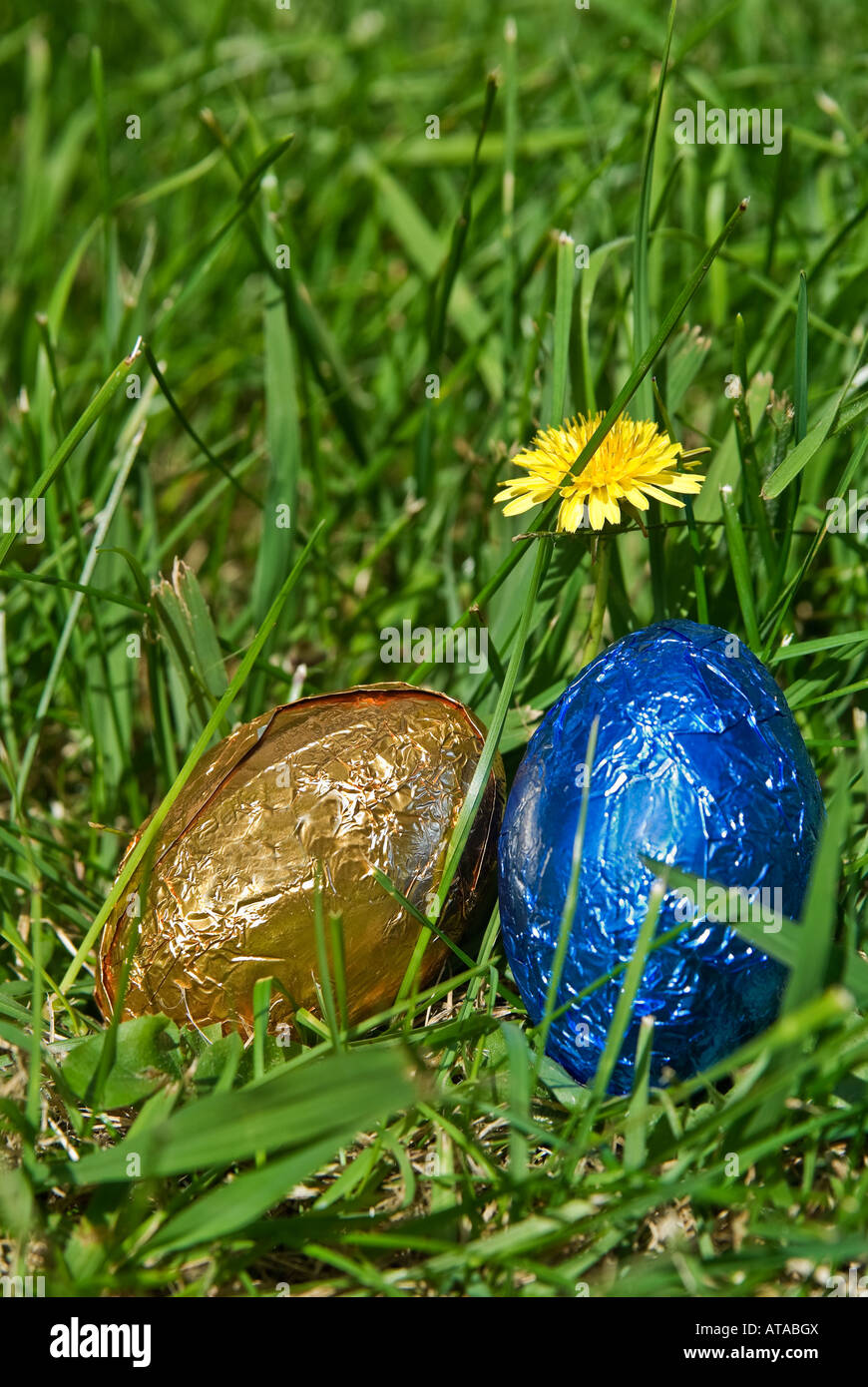 Due uova di Pasqua nel giardino con un dente di leone Foto Stock