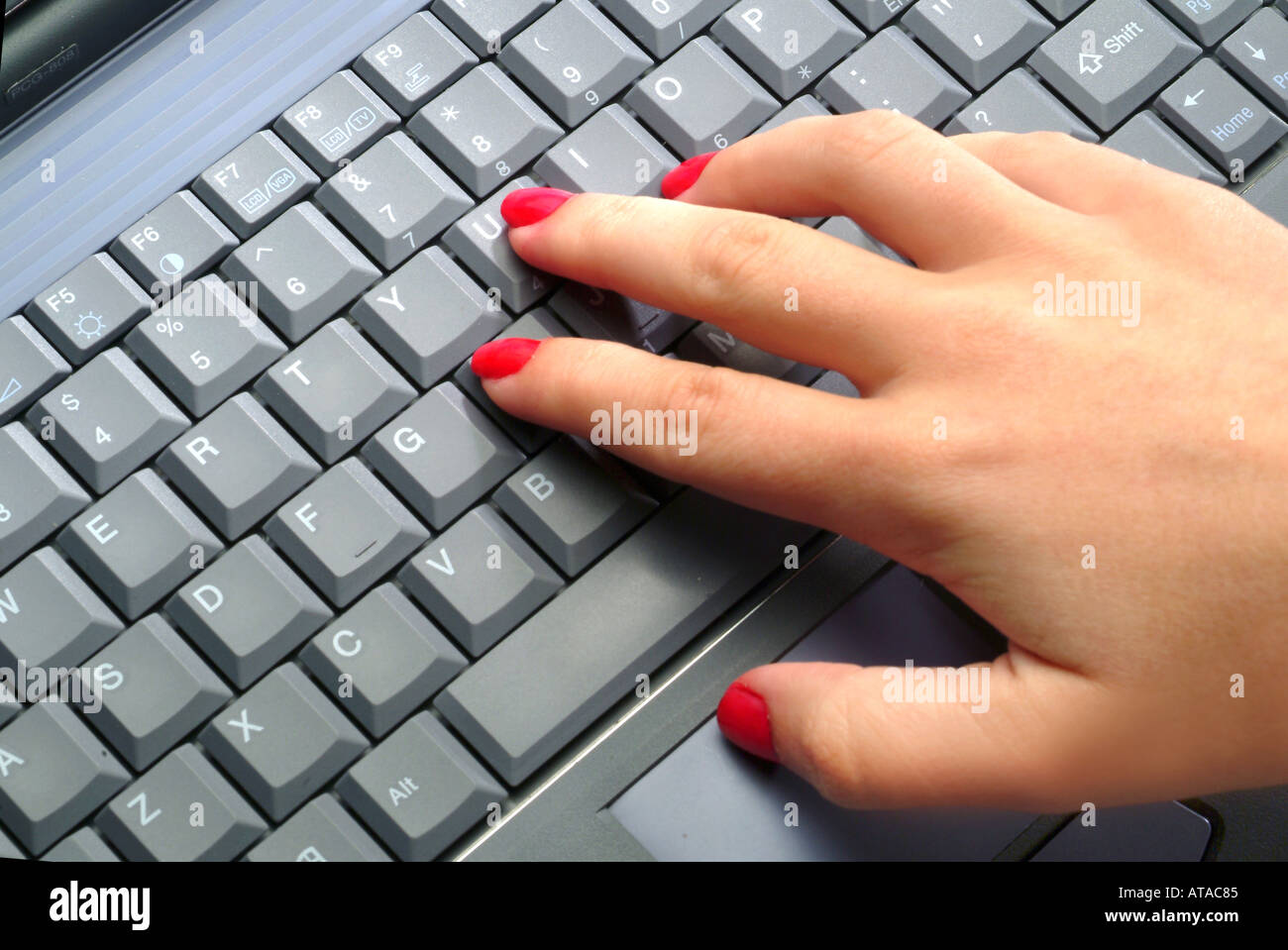 Womans mani digitando sulla tastiera del computer Foto Stock