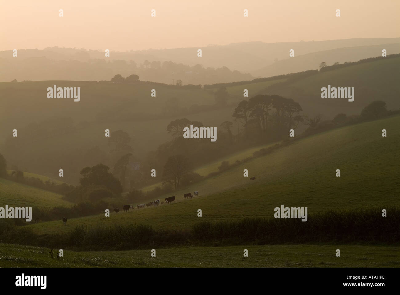 Kingswear, Devon, West Country, Regno Unito Foto Stock