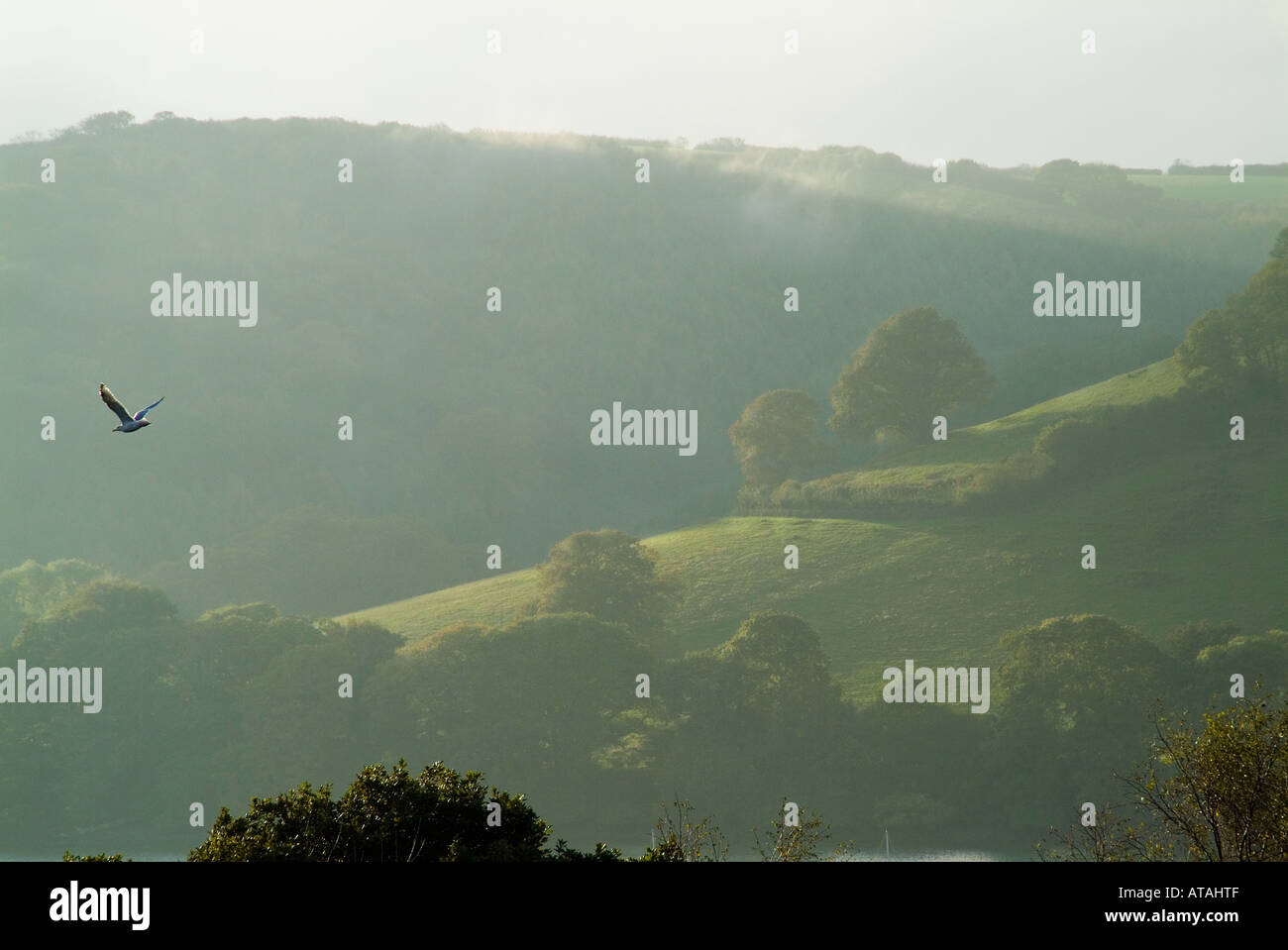 Fiume Dart, Dartmouth, Devon, West Country, Regno Unito Foto Stock