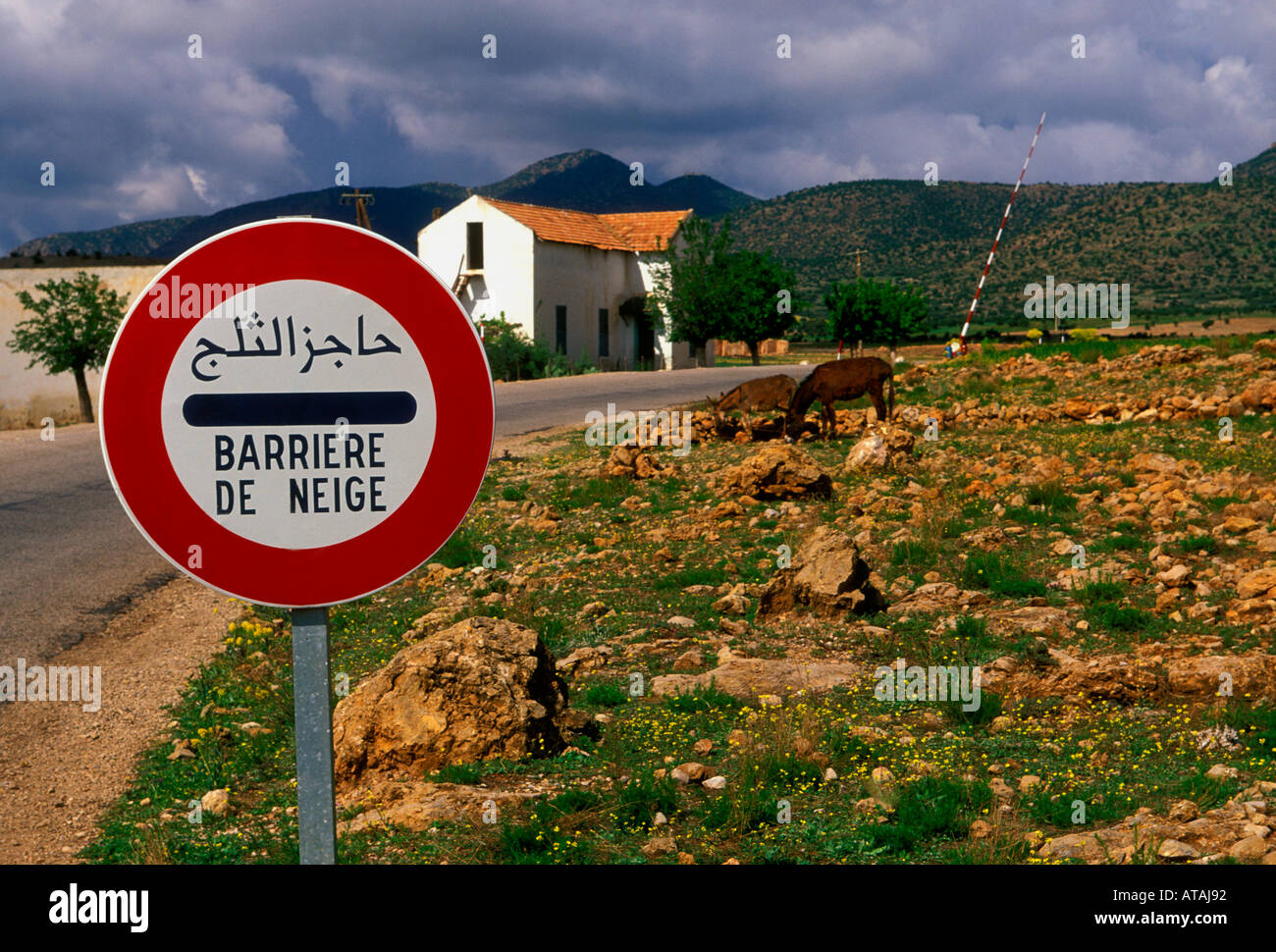 Bilingual cartello stradale, segno bilingue, cartello stradale, neve barriera, Barrière de neige, vicino al villaggio di Ait-ameur-ouabid, Marocco, Africa settentrionale, Africa Foto Stock