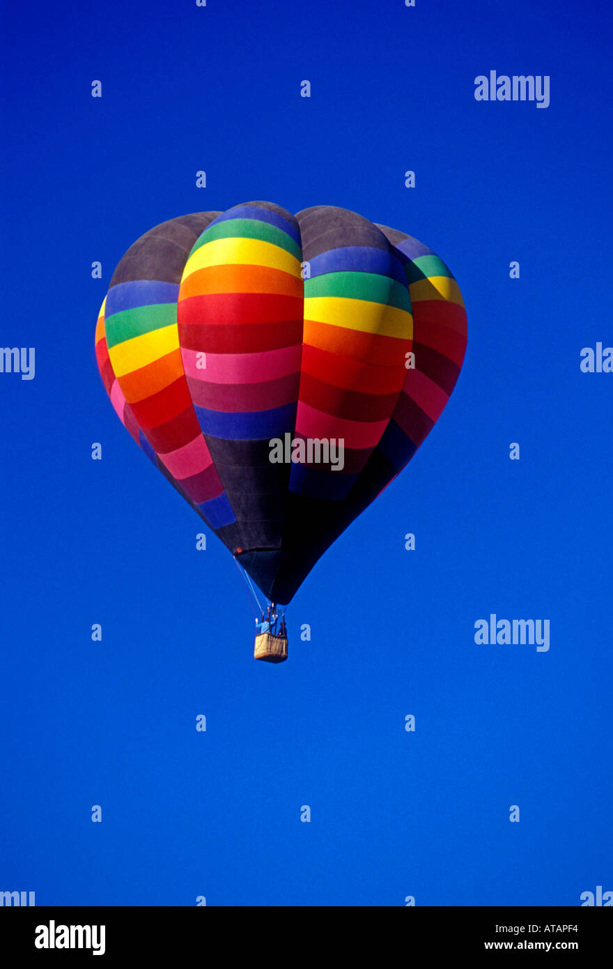 In mongolfiera, mongolfiere, International Balloon Fiesta, mongolfiera, Albuquerque, Bernalillo County, Nuovo Messico, Stati Uniti Foto Stock