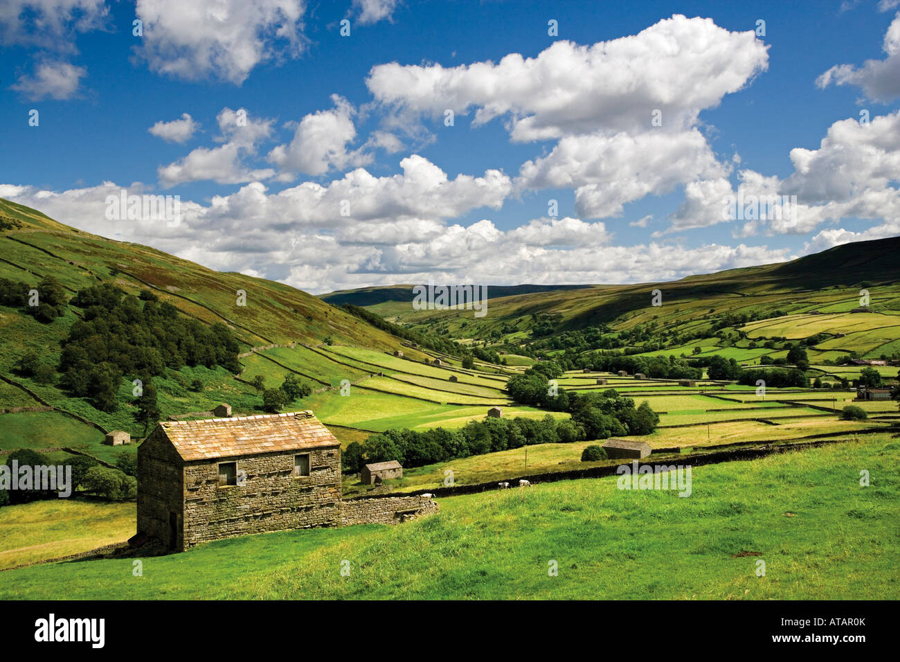 Swaledale superiore vicino Thwaite Yorkshire Dales National Park Foto Stock